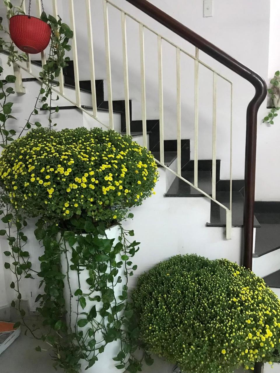 Vanapartment Hô Chi Minh-Ville Extérieur photo